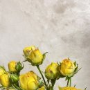 장미마트 이미지