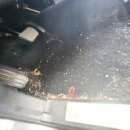 예산세차장 이미지