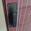 굿모닝위너스텔3 이미지