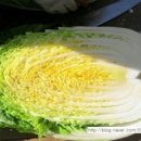 윤희농장 이미지