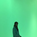 앨리스포레