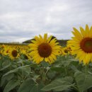 호로고루 화장실 이미지