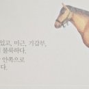 (주)씨앤씨홀스넷 이미지