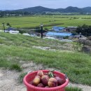 구천농장 이미지