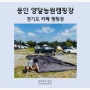 용인캠핑장 카페가 있는 양달농원캠핑장 자리소개