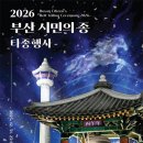 새해맞이시민의종타종행사 국제뉴스