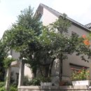 소로2-성남20 이미지