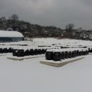 인양양초장 이미지