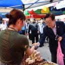 나비환상곡 이미지