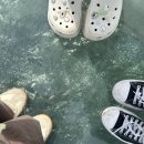 동해~애 이미지