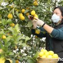 해나라1호 이미지