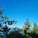 비고리조트 3 이미지