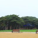 소나무목장 이미지