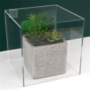 뽑기박스 이미지