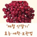 (7/21)산딸기 식초 만들기 | 제철 산딸기 효능·세척·보관법