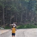 캠핑카 빌리지 이미지