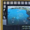 고흥바다하우스 이미지