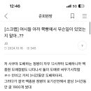 도배정병들 진짜 ㅂㅅ이구나 느낀게 백종원도배하던애 여시가서 자표하면서 글쓴거 이미지