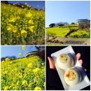 포코목장 이미지