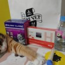 고양이병원 소설 이미지