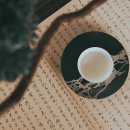 경희정진한의원 | 몸과 마음을 다독이는 한방 접근, 추나요법과 공진단의 만남