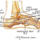 성남보조기센터 이미지