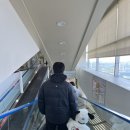 롯데쇼핑(주) 롯데마트 평택점 | 안성 / 평택 롯데마트점 키즈카페 월드킹