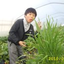 한솔이네농장 이미지