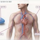 새부전약국 | 비아그라(실데나필), 니트로글리세린과 같이 쓰면 왜 위험할까