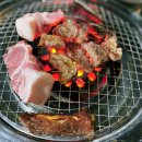 아하거기포차 | 속초 연탄불생구이 2호점 가성비 노포맛집