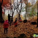 자연유치원 이미지