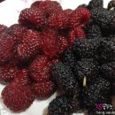 옥계(속초) 이미지