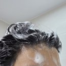 (주)플러스랩에스 | 수부지 스킨케어 루틴, 올리브영 추천템/지루성 두피염, 지성 샴푸 추천