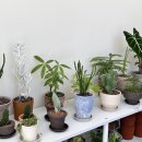 영전농장 이미지