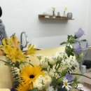 헬렌플레르
