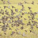 풍년밥상 이미지