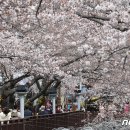 진해구 ⓒ-24 이미지