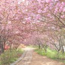 완산-20 이미지
