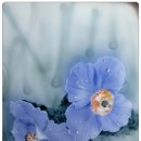 순수 미술회화 이미지