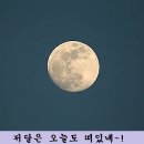 나그네길 이미지
