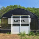 인원수·강아지수 제한없음[독채250평 강아지운동장 ‘제이그라운드’]