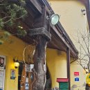 그리운보리밥 | 속초에서 사랑받는 한식 맛집, 그리운보리밥 떡갈비·된장정식 후기