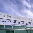 꽃향기 바다내음 | 아이들과 가을꽃 산책🌸 대부도 대부해양관광본부 백일홍 꽃밭 후기