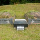 강원장의사 이미지