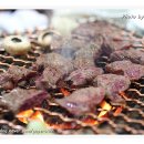 버드나무집 이미지