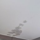 화정천동로 이미지