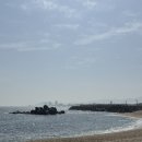 치기 여자혼자(강릉중앙시장,초당훈이순두부짬뽕, 강릉빵다방, 스타벅스강문해변점,테라로사경포호수점)