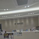 케이메디컬의원 | 인천 담낭수술, 연수구 담낭수술후기-성모케이외과(단일공복강경)추천