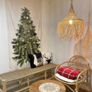 스테이오후열시 이미지