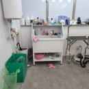 토토미용실 이미지